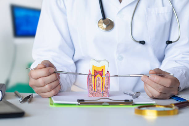 Best Orthodontic Emergency Dentist in Cotter, AR